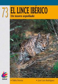 EL LINCE IBÉRICO